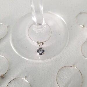 10pcs. Crystal Wine Glass Markers/Wine Glass Charms/Drink Trackers